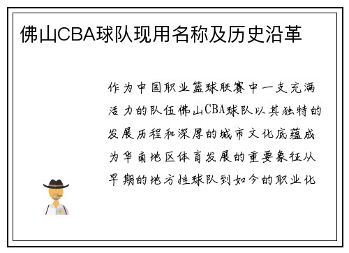 佛山CBA球队现用名称及历史沿革