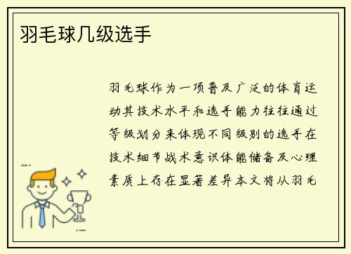 羽毛球几级选手